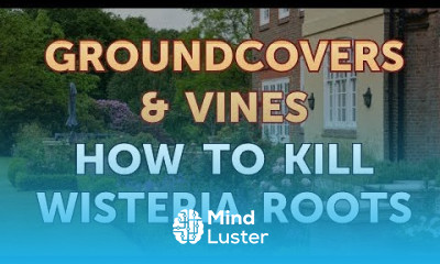 How to Kill Wisteria Roots