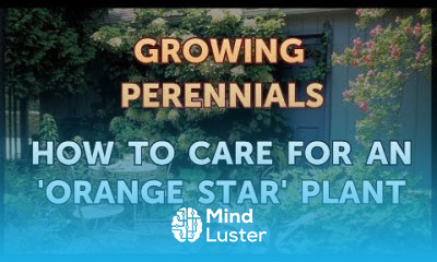 How to Care for an Orange Star Plant