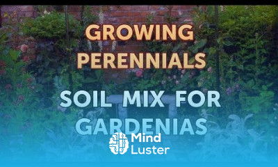Soil Mix for Gardenias