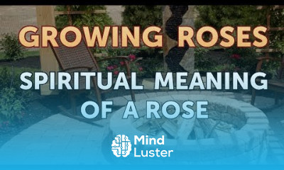 Spiritual Meaning of a Rose