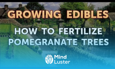 How to Fertilize Pomegranate Trees