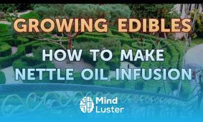 How to Make Nettle Oil Infusion