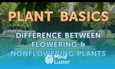 Difference Between Flowering Nonflowering Plants