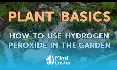 How to Use Hydrogen Peroxide in the Garden