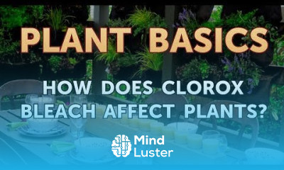 How Does Clorox Bleach Affect Plants