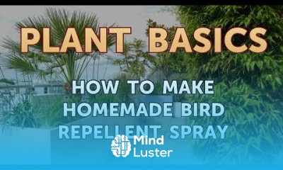 How to Make Homemade Bird Repellent Spray