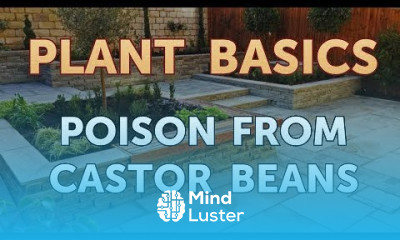 Poison From Castor Beans