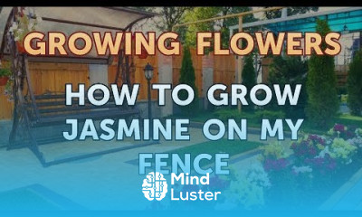 How to Grow Jasmine on My Fence