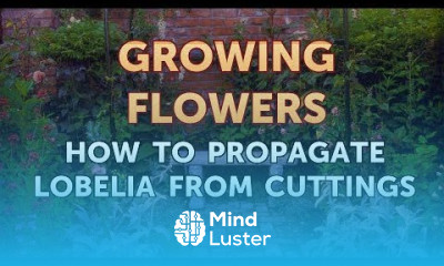 How to Propagate Lobelia From Cuttings