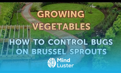 How to Control Bugs on Brussel Sprouts