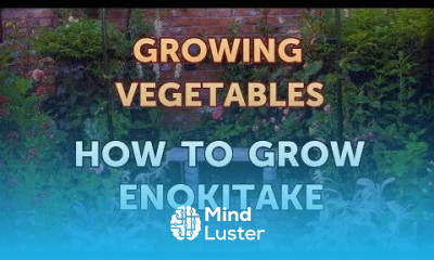 How to Grow Enokitake