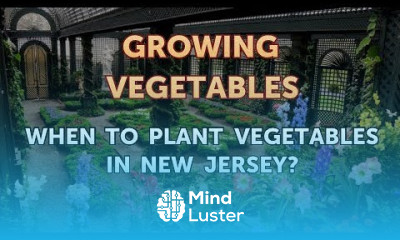 When to Plant Vegetables in New Jersey