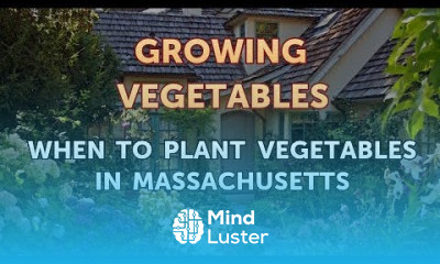 When to Plant Vegetables in Massachusetts