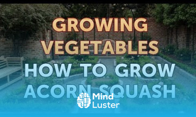 How to Grow Acorn Squash