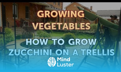 How to Grow Zucchini on a Trellis