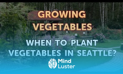 When to Plant Vegetables in Seattle