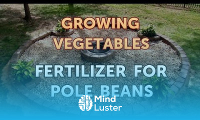 Fertilizer for Pole Beans