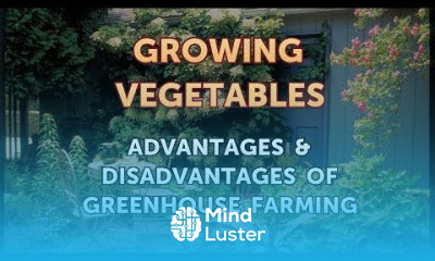 Advantages Disadvantages of Greenhouse Farming