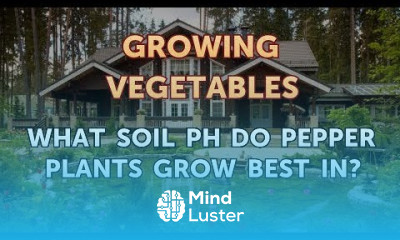 What Soil pH Do Pepper Plants Grow Best In