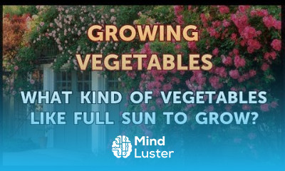 What Kind of Vegetables Like Full Sun to Grow