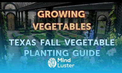 Texas Fall Vegetable Planting Guide