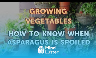 How to Know When Asparagus is Spoiled