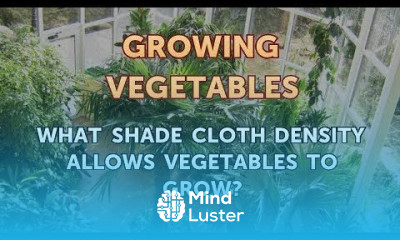 What Shade Cloth Density Allows Vegetables to Grow