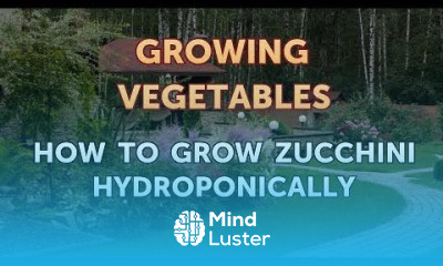 How to Grow Zucchini Hydroponically