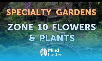 Zone 10 Flowers Plants