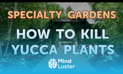 How to Kill Yucca Plants