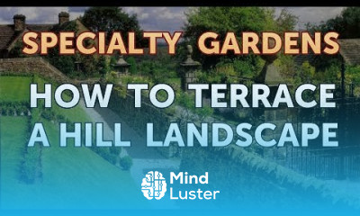 How to Terrace a Hill Landscape