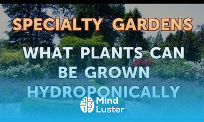 What Plants Can Be Grown Hydroponically
