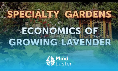 Economics of Growing Lavender