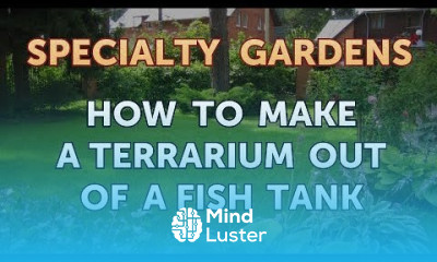 How to Make a Terrarium Out of a Fish Tank