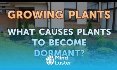 What Causes Plants to Become Dormant