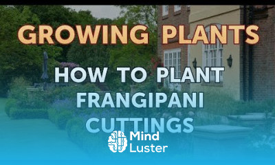 How to Plant Frangipani Cuttings