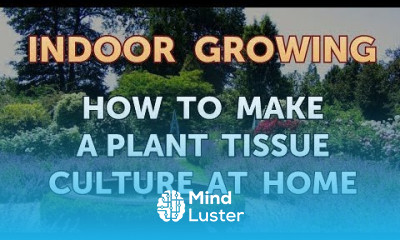 How to Make a Plant Tissue Culture at Home