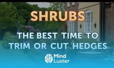 The Best Time to Trim or Cut Hedges