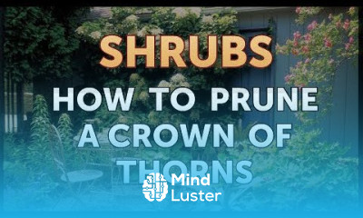 How to Prune a Crown of Thorns