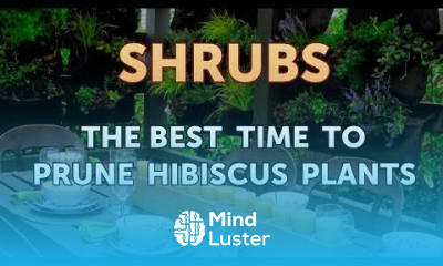 The Best Time to Prune Hibiscus Plants