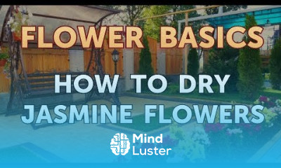 How to Dry Jasmine Flowers