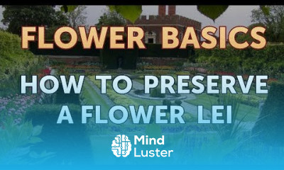 How to Preserve a Flower Lei