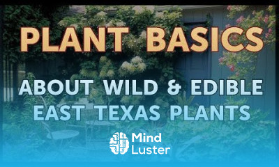 About Wild Edible East Texas Plants