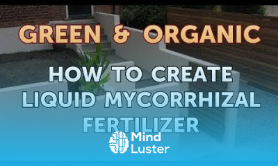How to Create Liquid Mycorrhizal Fertilizer