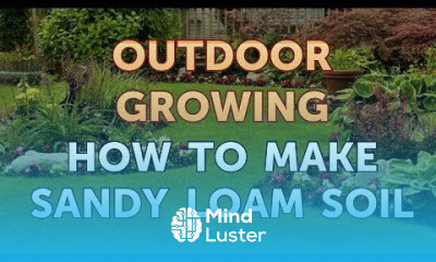 How to Make Sandy Loam Soil