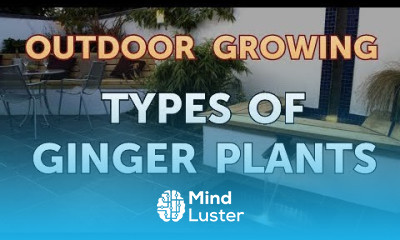 Types of Ginger Plants