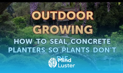 How to Seal Concrete Planters So Plants Don t Die