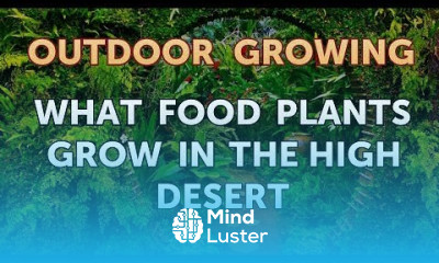 What Food Plants Grow in the High Desert