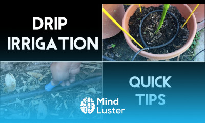 Drip Irrigation Quick Tips