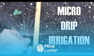 Adding Micro Drip Irrigation For Raised Bed Garden By Converting Existing Sprinkler System